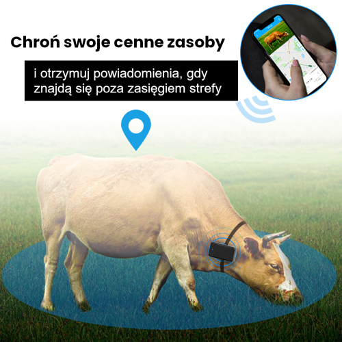 Lokalizator GPS bateryjny 10000mAh 4G + karta Plus + dostęp do Tracksolid Pro na 10 lat