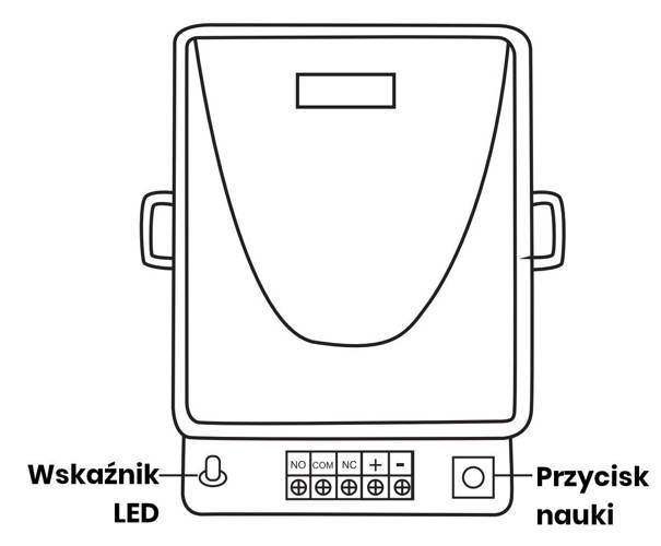 Radiolinia 1 kanał